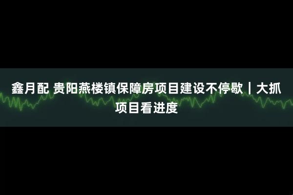 鑫月配 贵阳燕楼镇保障房项目建设不停歇｜大抓项目看进度