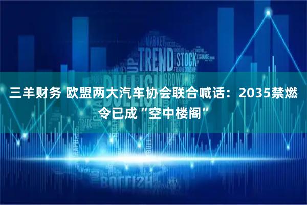 三羊财务 欧盟两大汽车协会联合喊话：2035禁燃令已成“空中楼阁”