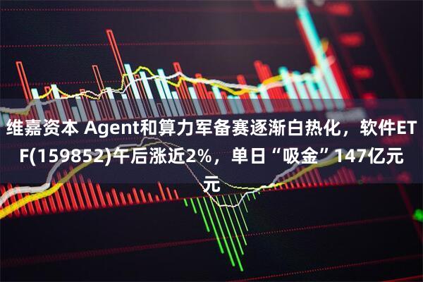 维嘉资本 Agent和算力军备赛逐渐白热化,软件ETF(159852)午后涨近2%,单日“吸金”147亿元